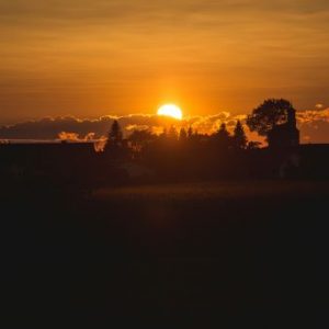 Imago Dei Imago Dei – Jeff Mann (08/18/24)