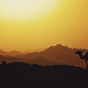 Joseph Part 1 – Jeff Mann (09/17/23)