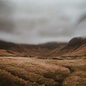 Moses Part 2 – Jeff Mann (02/04/24)