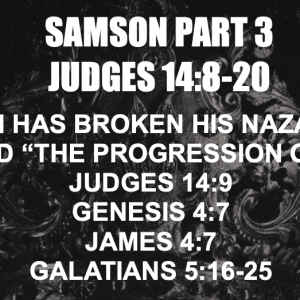 Screenshot 2025-07-20 at 11.24.36 AM Samson Part 3 – Jeff Mann 07-20-25