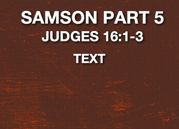 Judges Part 5 – Jeff Mann 08-17-25