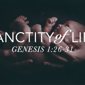 Sanctity of Life – Jeff Mann 01-18-26